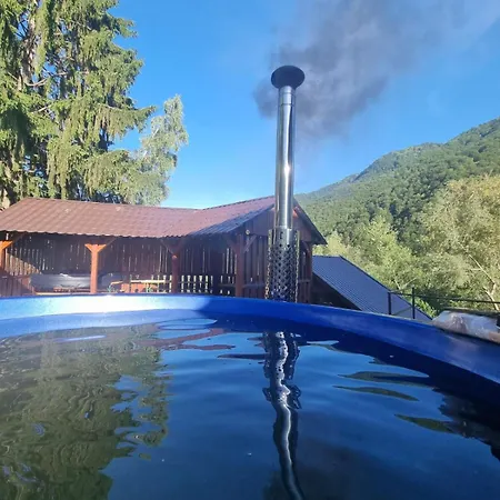 Holiday home Floare De Stanca Hunedoara